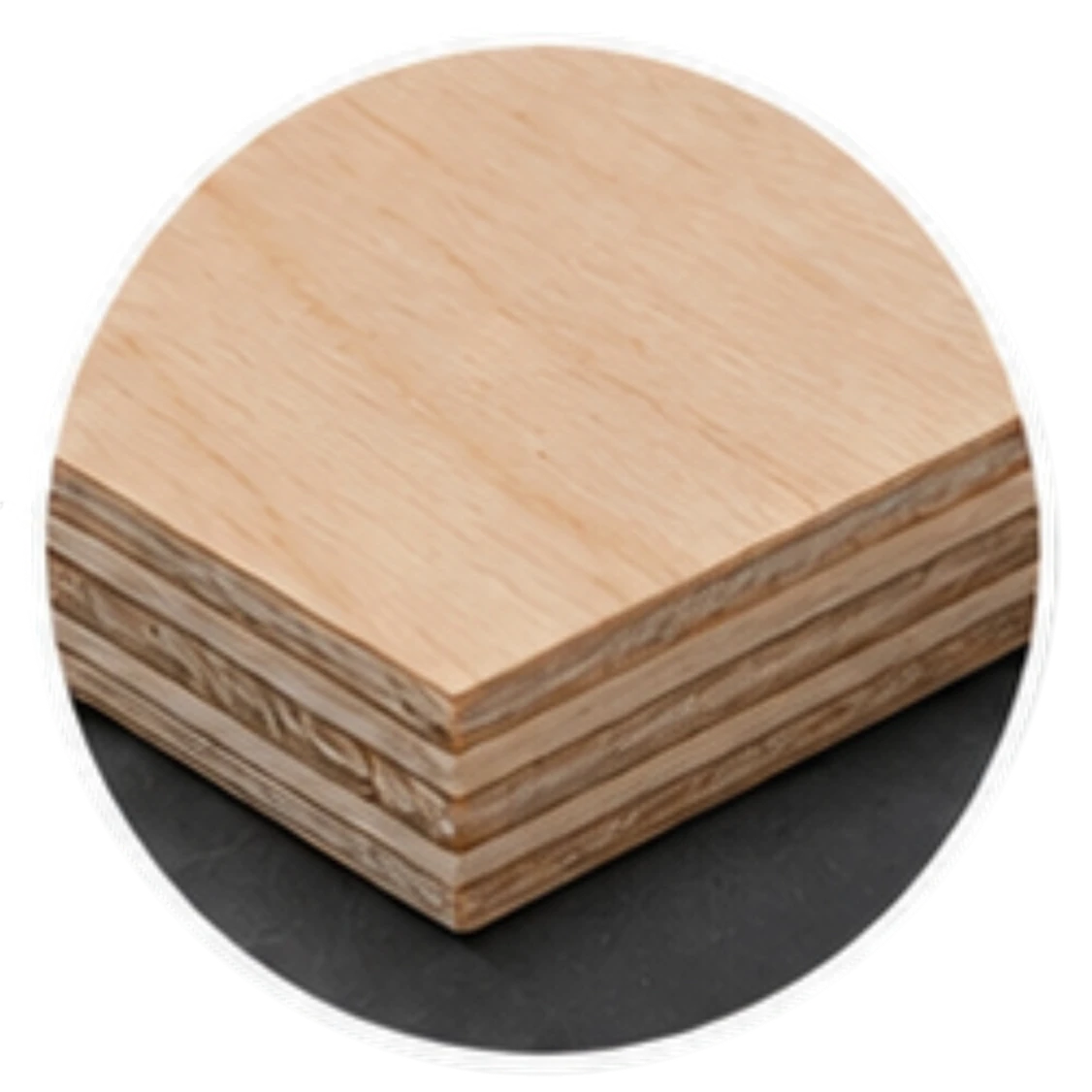 Veneer maple plywood